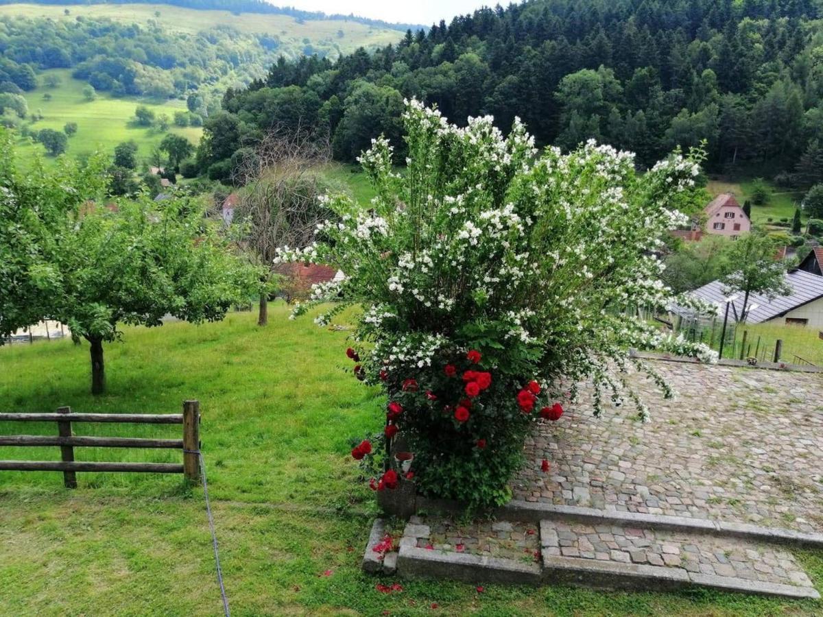 Les Locations de Stéphanie ,Gite Le Verger Sondernach Exterior foto