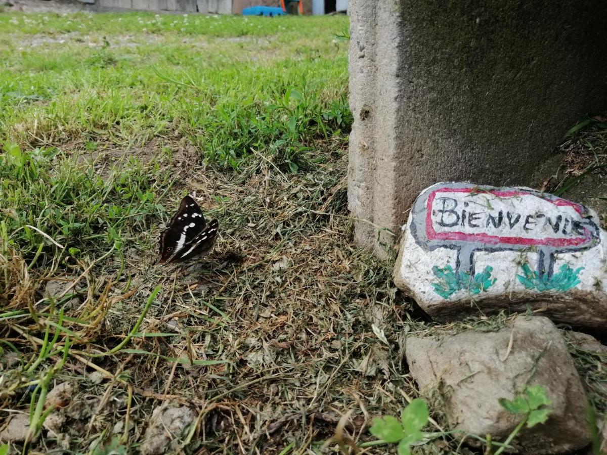 Les Locations de Stéphanie ,Gite Le Verger Sondernach Exterior foto